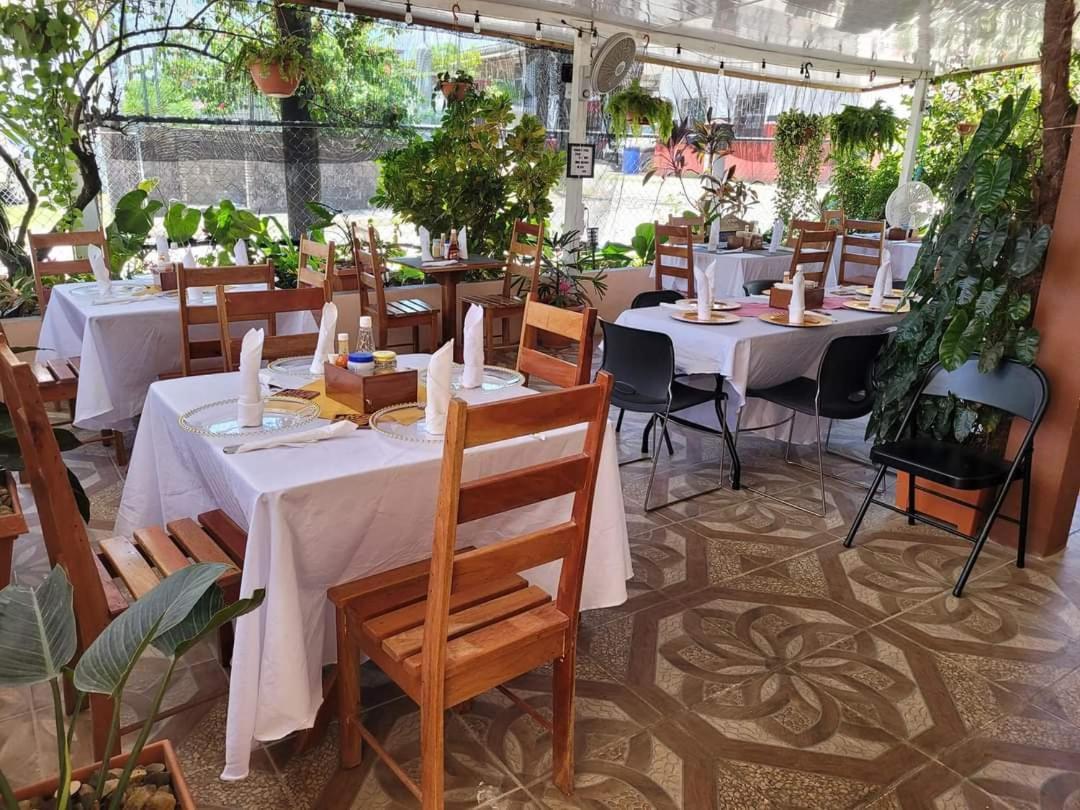 Saint Charles Inn, Belize Central America Punta Gorda Zewnętrze zdjęcie